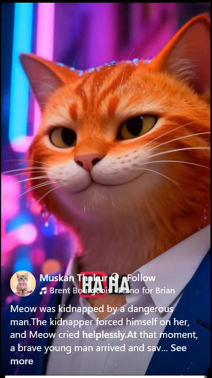 The face of a cat who's lost everything.