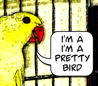 "I'm a I'm a pretty bird"